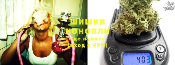 прущие грибы Заволжск