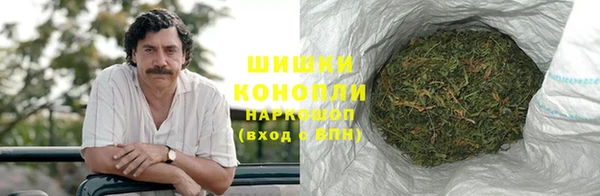 прущие грибы Заволжск