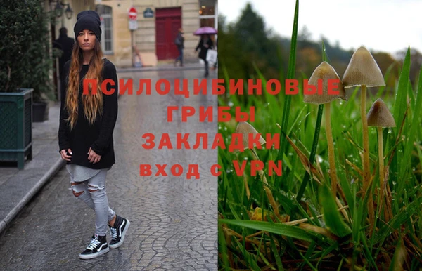 индика Заволжье