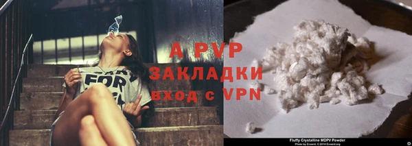 прущие грибы Заволжск