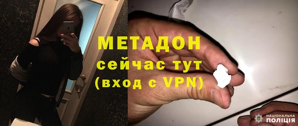 индика Заволжье