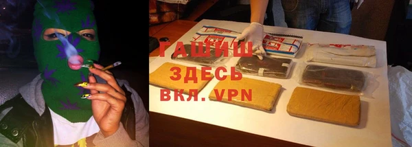 прущие грибы Заволжск