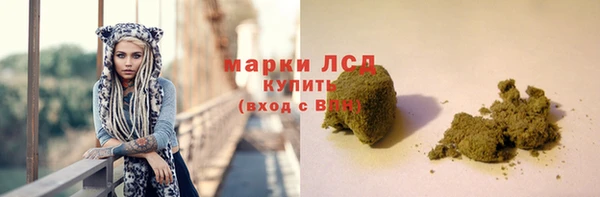индика Заволжье