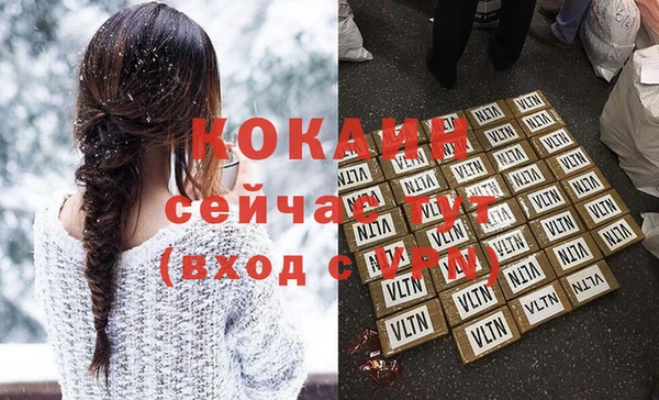 прущие грибы Заволжск