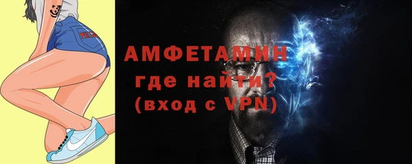 индика Заволжье