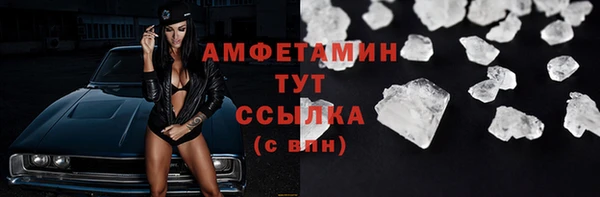 индика Заволжье