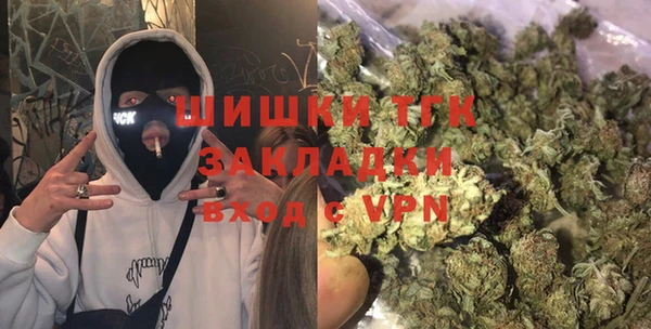 прущие грибы Заволжск