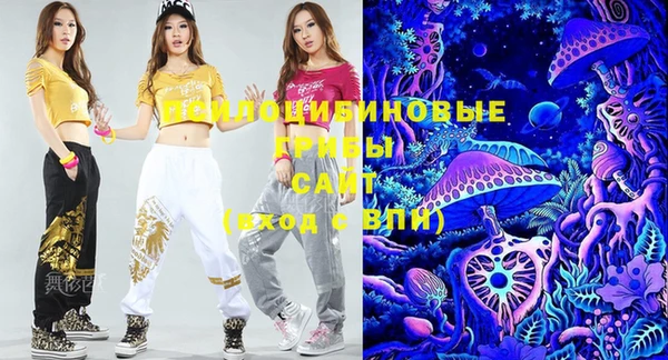 индика Заволжье
