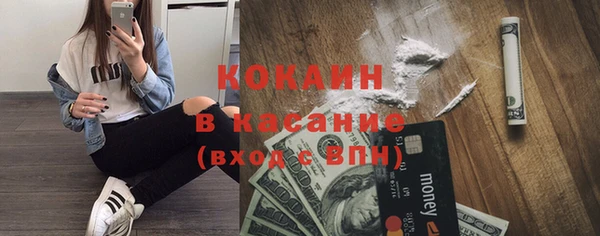 индика Заволжье