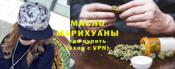 индика Заволжье