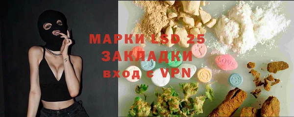индика Заволжье