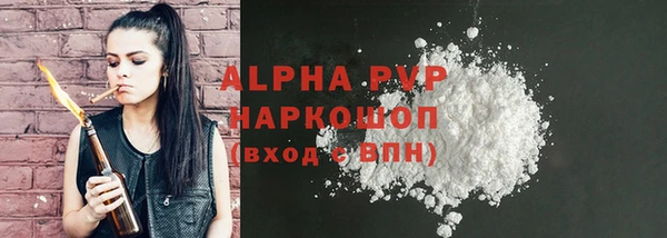 индика Заволжье